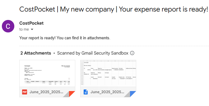 Example expense report received by email in Excel and PDF formats